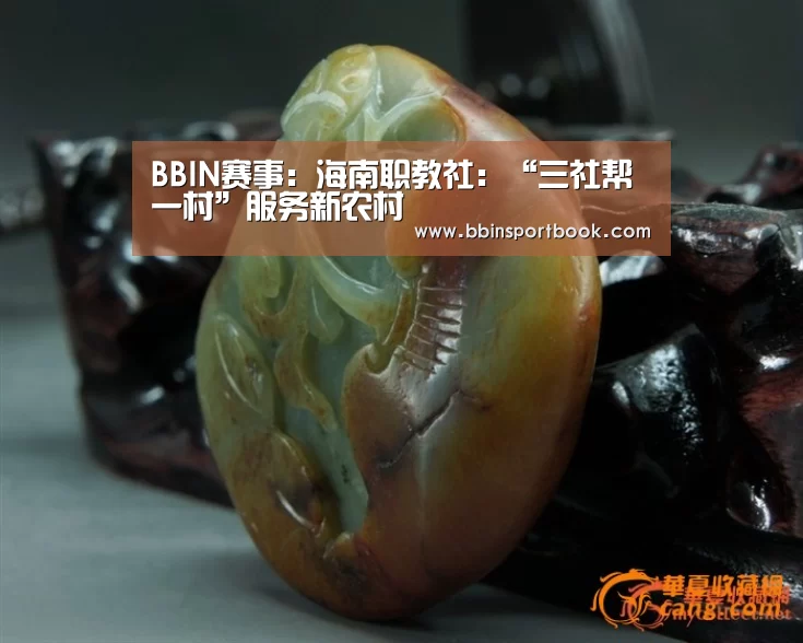 BBIN赛事:海南职教社:“三社帮一村”服务新农村(图1) BBIN篮球