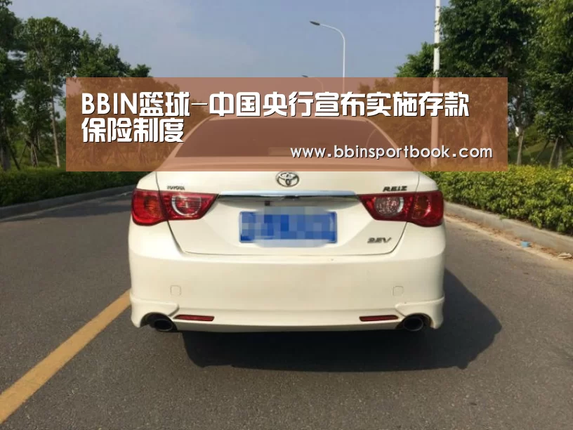 BBIN篮球-中国央行宣布实施存款保险制度(图1) BBIN娱乐