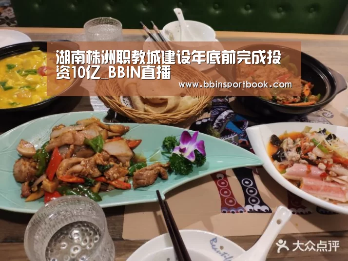 湖南株洲职教城建设年底前完成投资10亿_BBIN直播(图3) BBIN直播