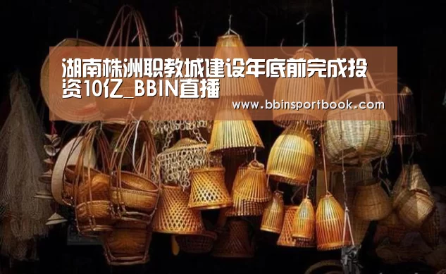 湖南株洲职教城建设年底前完成投资10亿_BBIN直播(图4) BBIN篮球