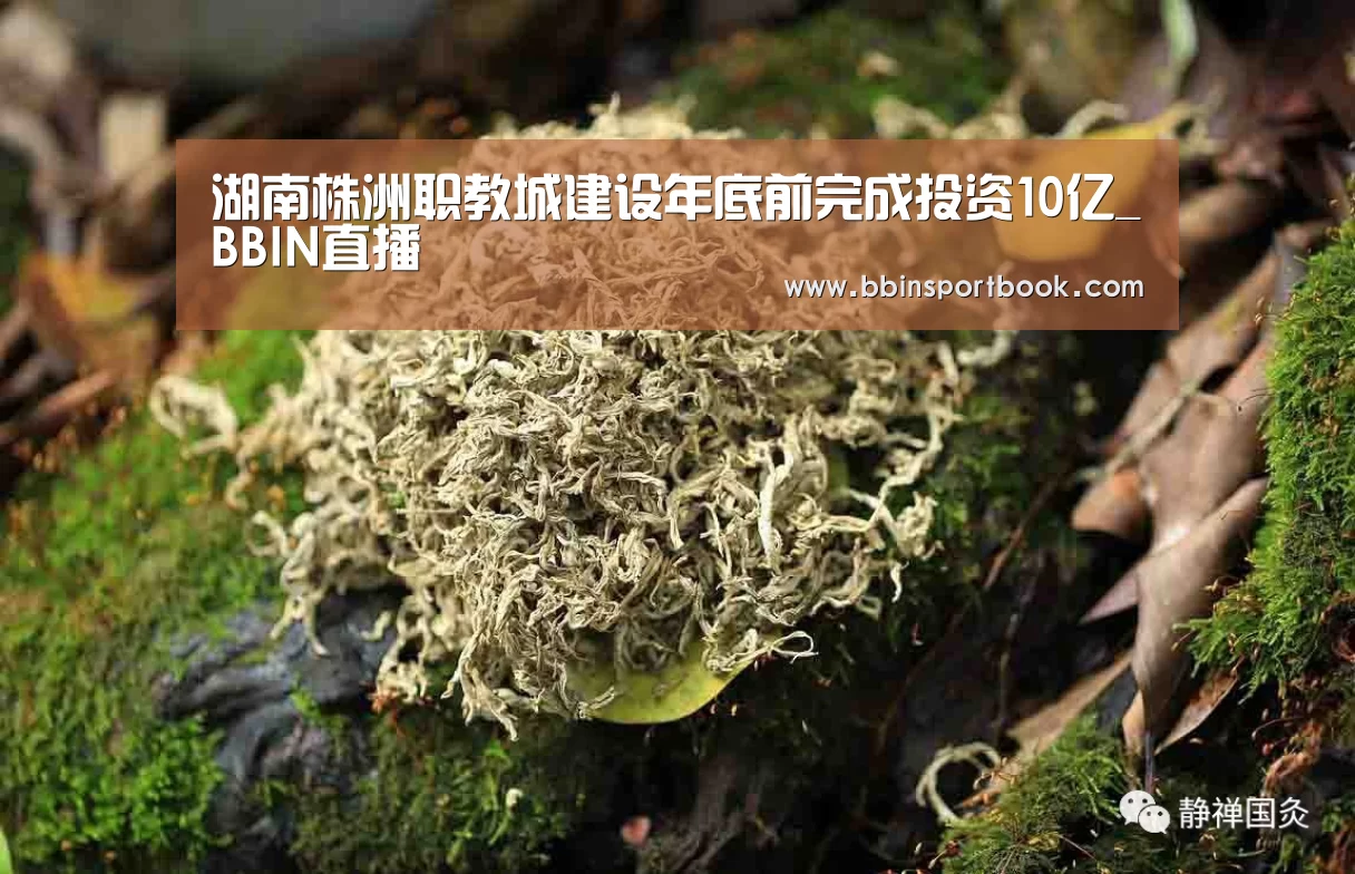 湖南株洲职教城建设年底前完成投资10亿_BBIN直播(图2) BBIN赛事