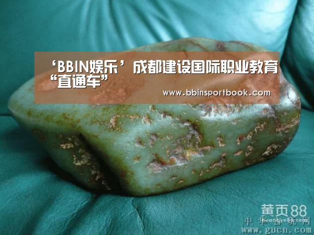 ‘BBIN娱乐’成都建设国际职业教育“直通车”(图2) BBIN赛事