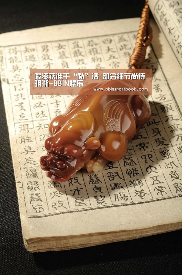 险资获准干“私”活 部分细节尚待明晰-BBIN娱乐(图1) BBIN篮球