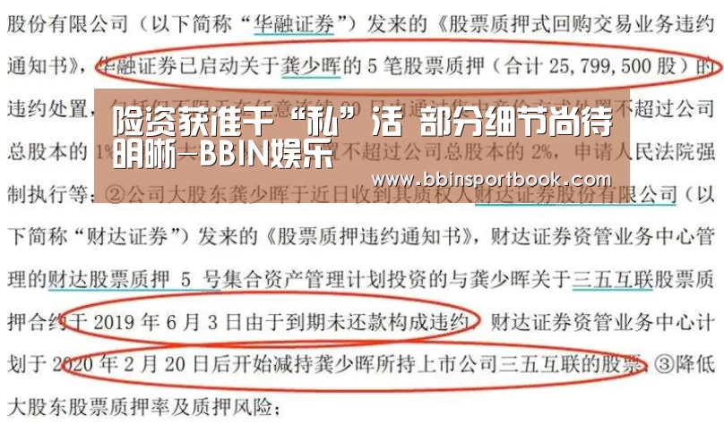 险资获准干“私”活 部分细节尚待明晰-BBIN娱乐(图2) BBIN赛事