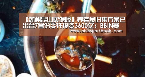 【苏州昆山买保险】养老金归集方案已出台7省份委托投资3600亿:BBIN赛事(图2) BBIN直播