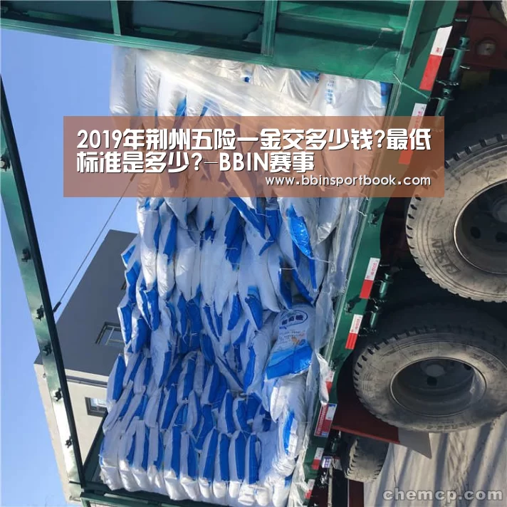 2019年荆州五险一金交多少钱?最低标准是多少?-BBIN赛事(图1) BBIN直播