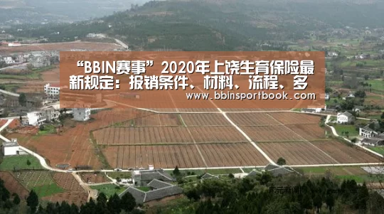 “BBIN赛事”2020年上饶生育保险最新规定:报销条件、材料、流程、多少钱(图2) BBIN赛事