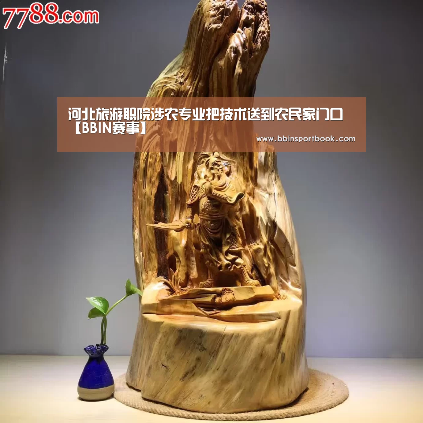 河北旅游职院涉农专业把技术送到农民家门口【BBIN赛事】(图3) BBIN赛事