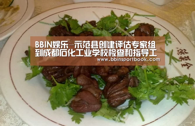 BBIN娱乐-示范县创建评估专家组到成都石化工业学校检查和指导工作(图1) BBIN赛事